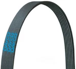 Serpentine Belt-std Trans Dayco 5061015. Fixed Price $44.39.