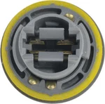 Tail Light Socket-service Tech Autopart Intl 1802-303923. Fixed Price $18.95.
