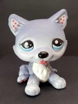 Lps Littlest Pet Shops #1617 Husky Dog 2010. Fixed Price $39.00.