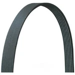 Serpentine Belt-std Trans Drive-rite 5061015DR. Fixed Price $33.91.