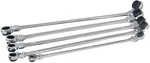 Platinum Tools PLT-99650 Pc. Xl Ratcheting Wrench Set With 10 Metric Sizes. Fixed Price $213.14.