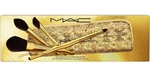 Mac Golden Touch Mini Brush Pc Kit Bag 498SES 497SES 499SES 595/596. Fixed Price $36.80.